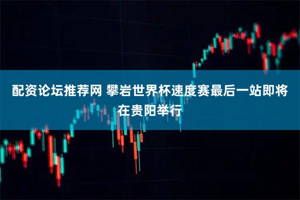 配资论坛推荐网 攀岩世界杯速度赛最后一站即将在贵阳举行