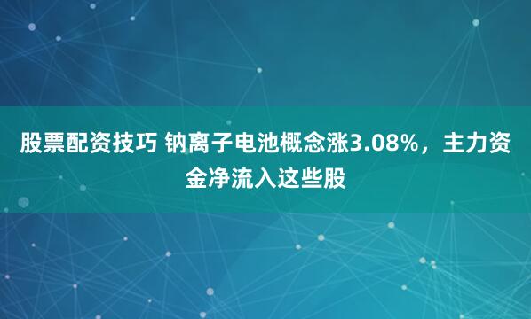 股票配资技巧 钠离子电池概念涨3.08%，主力资金净流入这些股